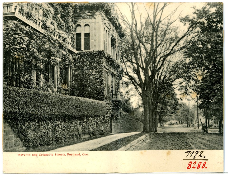 08288-Portland, Ore.-1906-Seventh and Columbia Streets Portland-Brück & Sohn Kunstverlag
