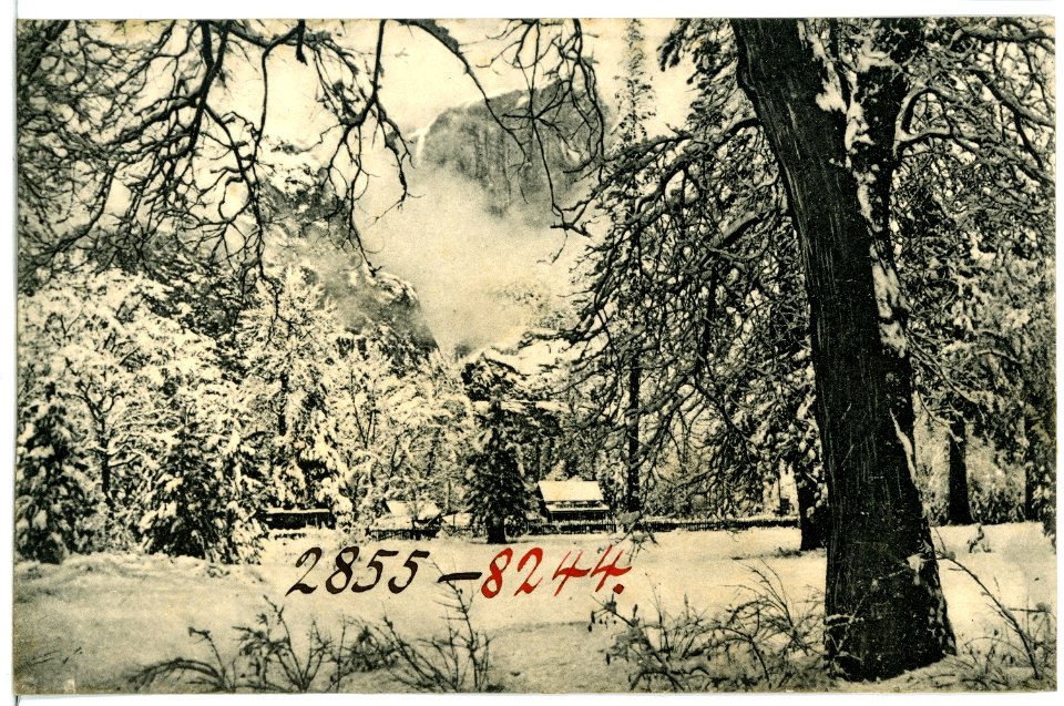 08244-Yosemite-1906-Winter in Yosemite-Brück & Sohn Kunstverlag