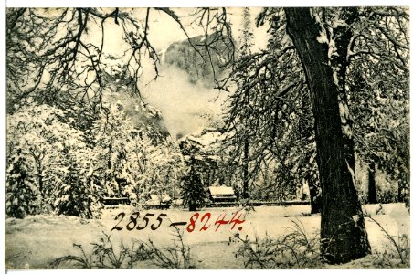08244-Yosemite-1906-Winter in Yosemite-Brück & Sohn Kunstverlag