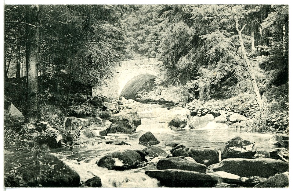 09088-Schierke-1907-im Bodetal-Brück & Sohn Kunstverlag