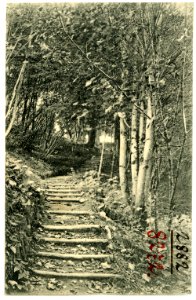 08272-Portland, Ore.-1906-Lover`s Lane-Brück & Sohn Kunstverlag