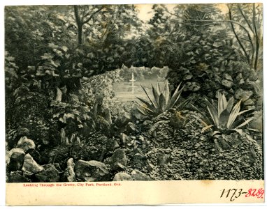 08289-Portland, Ore.-1906-Looking through the Grotto. City Park-Brück & Sohn Kunstverlag