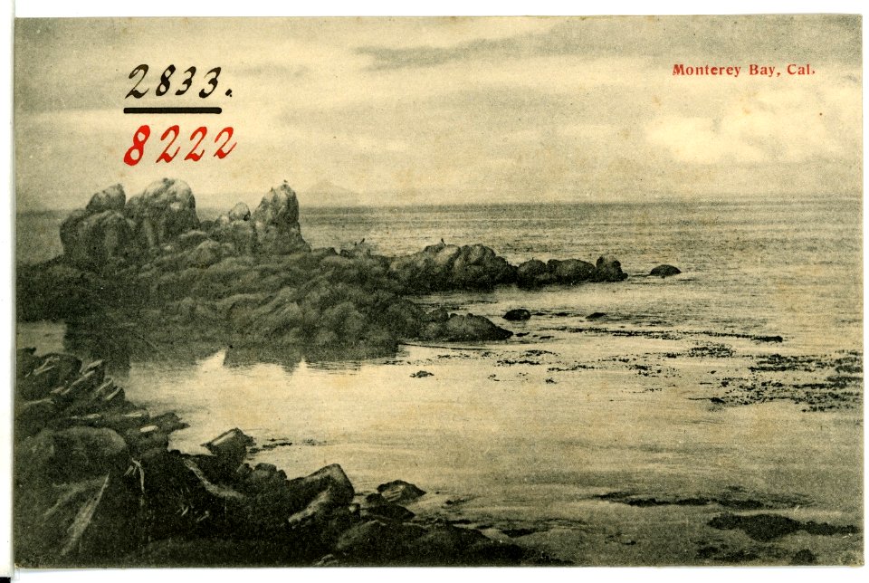 08222-Monterey-1906-Montererey Bay-Brück & Sohn Kunstverlag