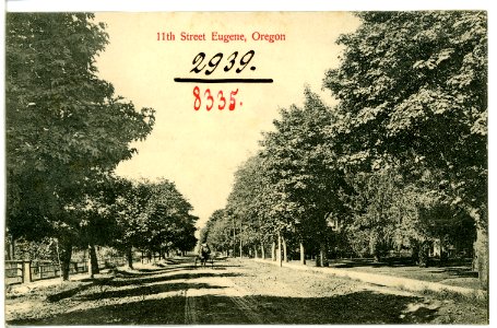 08335-Eugene, Ore.-1906-11 th Street-Brück & Sohn Kunstverlag