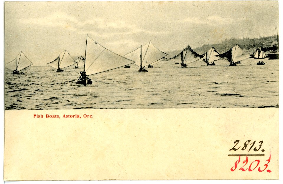 08203-Astoria, Ore.-1906-Fish Boats-Brück & Sohn Kunstverlag