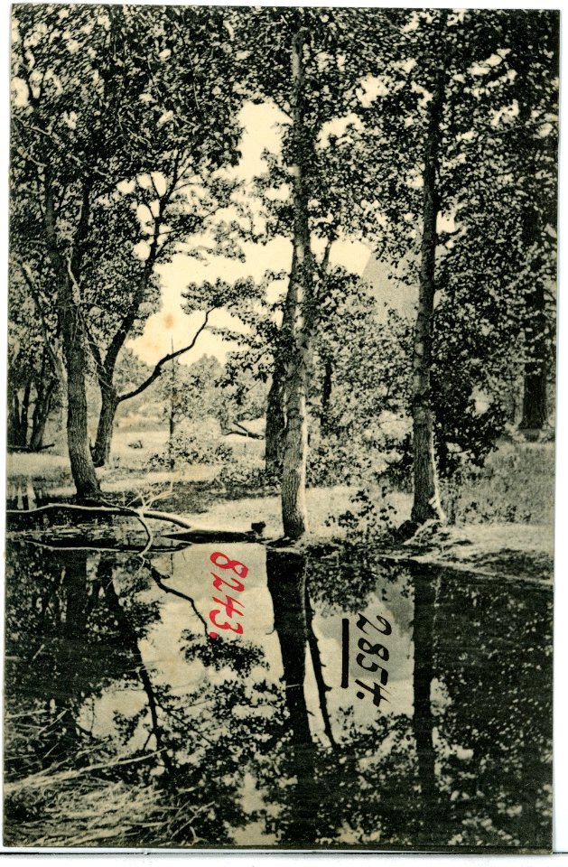 08243-Yosemite-1906-View of Cloud`s Rest and Half Dome-Brück & Sohn Kunstverlag