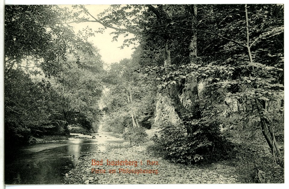 09165-Bad Lauterberg-1907-Philosophenweg-Brück & Sohn Kunstverlag