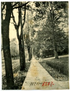 08287-Portland, Ore.-1906-Residence Street-Brück & Sohn Kunstverlag
