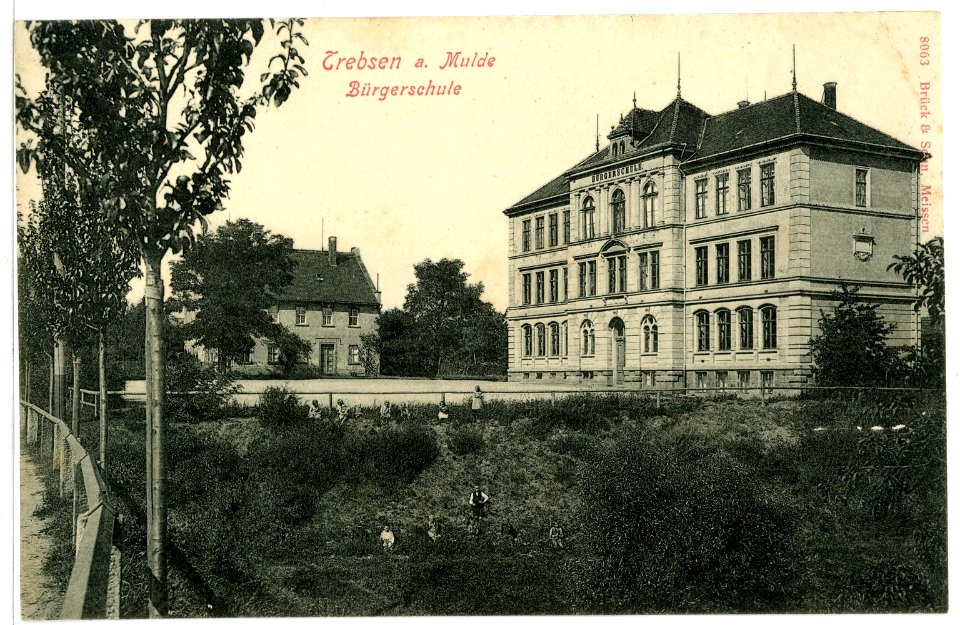 08063-Trebsen-1906-Bürgerschule-Brück & Sohn Kunstverlag