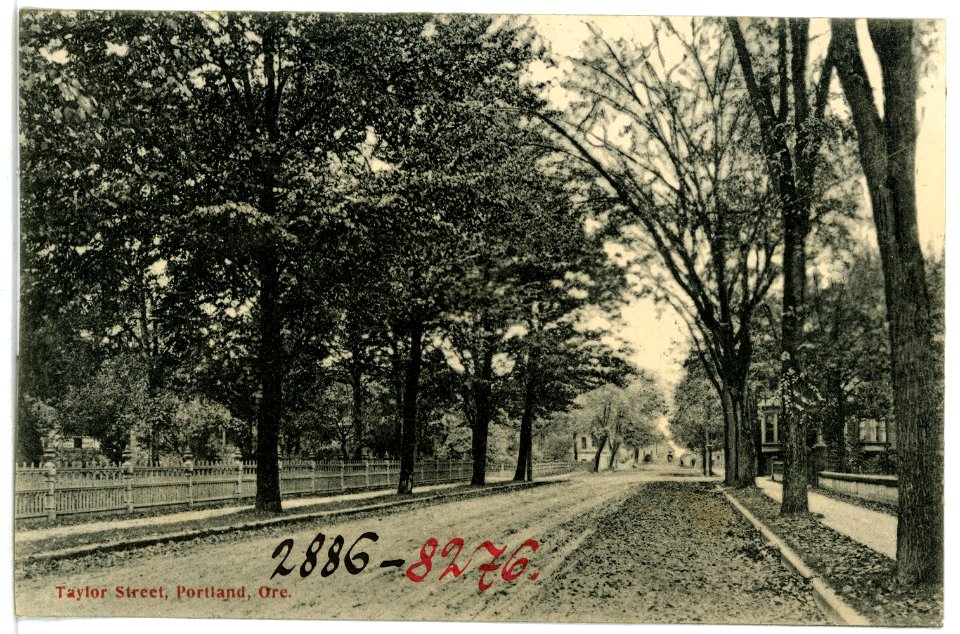 08276-Portland, Ore.-1906-Taylor Street-Brück & Sohn Kunstverlag