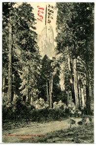 08251-Yosemite-1906-Distant View of Cathedral Spires-Brück & Sohn Kunstverlag