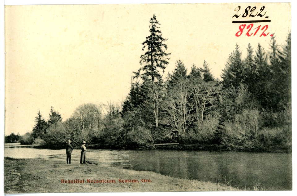 08212-Seaside, Ore.-1906-Beautiful Necanicum-Brück & Sohn Kunstverlag