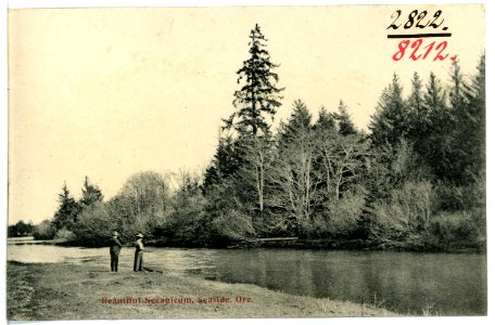 08212-Seaside, Ore.-1906-Beautiful Necanicum-Brück & Sohn Kunstverlag