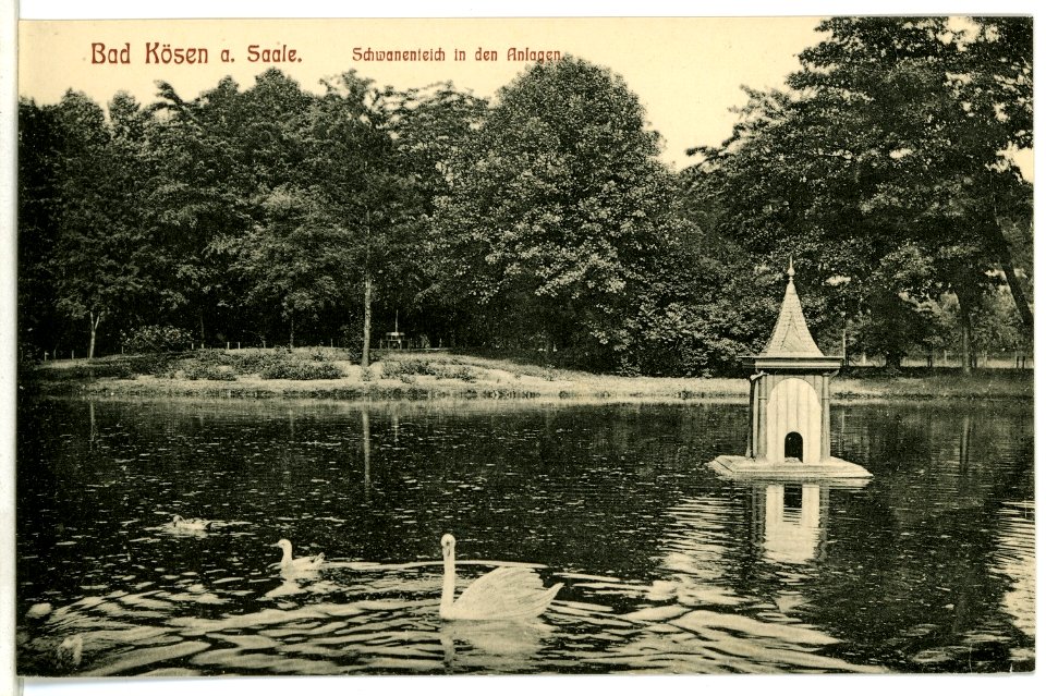 08649-Bad Kösen-1907-Schwanenteich in den Anlagen-Brück & Sohn Kunstverlag