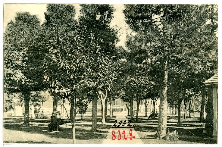 08328-Eugene, Ore.-1906-The Plaza-Brück & Sohn Kunstverlag
