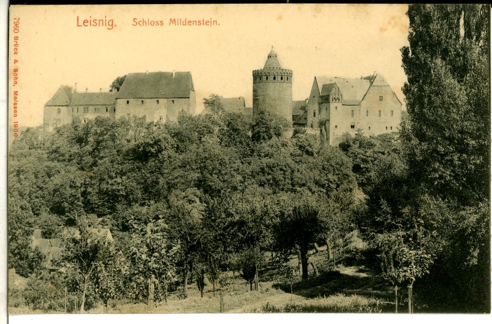 07960-Leisnig-1906-Schloß Mildenstein-Brück & Sohn Kunstverlag