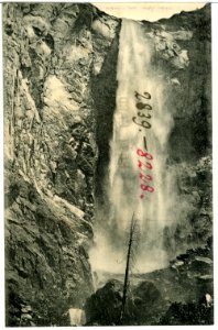 08228-Yosemite, Cal.-1906-Bridal Veil Falls-Brück & Sohn Kunstverlag