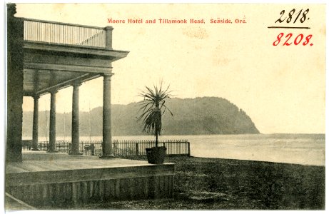 08208-Seaside, Ore.-1906-Moore Hotel and Tillamook Head-Brück & Sohn Kunstverlag
