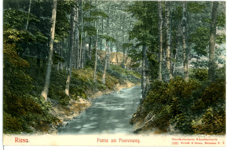 07937-Riesa-1906-Poetenweg-Brück & Sohn Kunstverlag