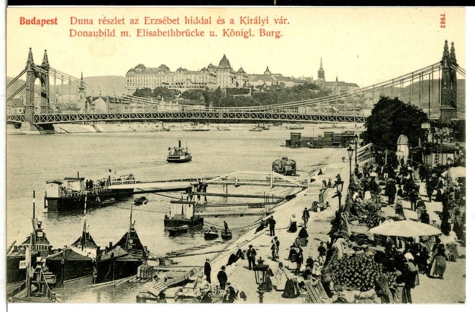 07982-Budapest-1906-Donaubild mit Elisabethbrücke und Königliche Burg-Brück & Sohn Kunstverlag