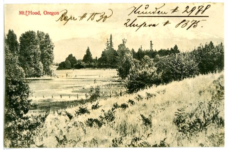 08375-Oregon-1906-Mt. Hood Oregon-Brück & Sohn Kunstverlag
