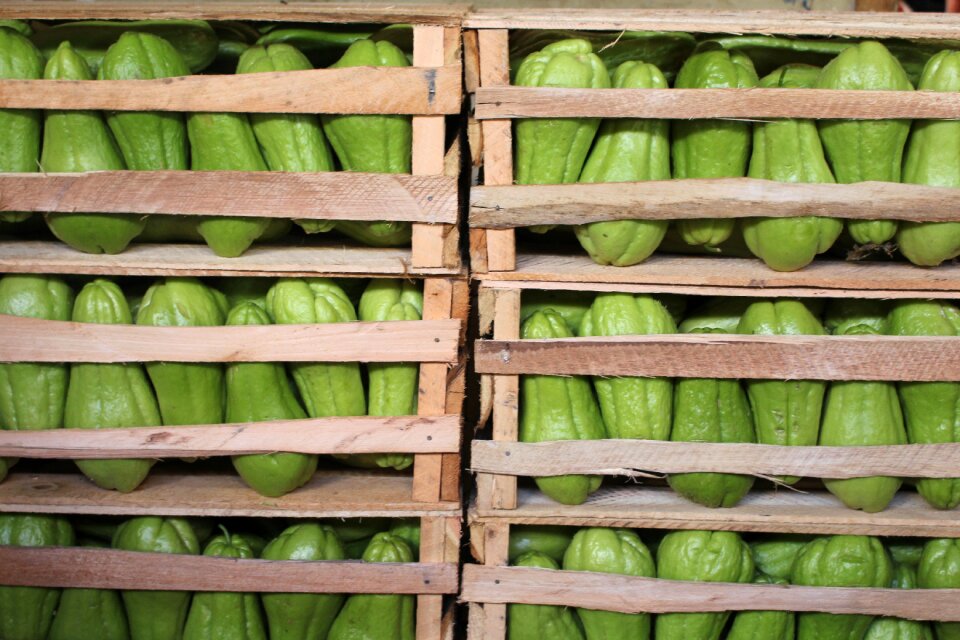 Fresh food healthy