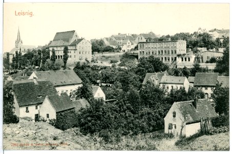 07961-Leisnig-1906-Blick auf Leisnig-Brück & Sohn Kunstverlag