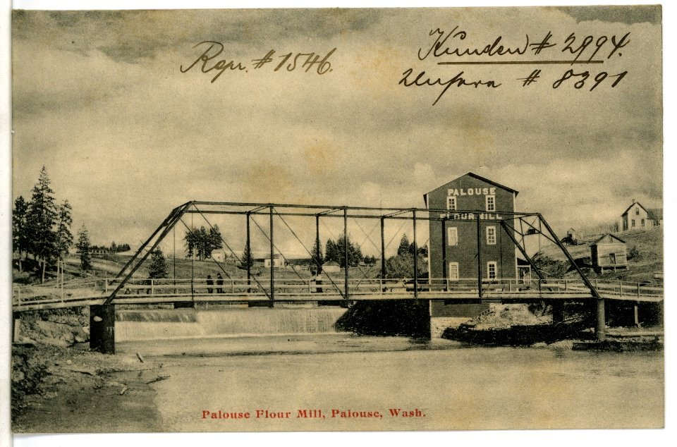 08391-Palouse, Wash.-1906-Palouse Flour Mill-Brück & Sohn Kunstverlag
