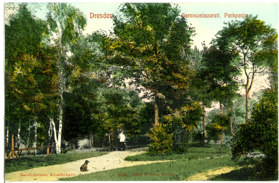 08034-Dresden-1906-Garnisonslazarett - Park-Brück & Sohn Kunstverlag