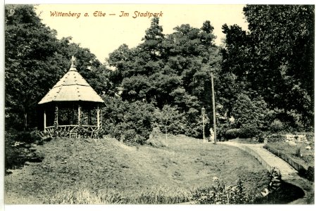 07951-Wittenberg-1906-Im Stadtpark-Brück & Sohn Kunstverlag