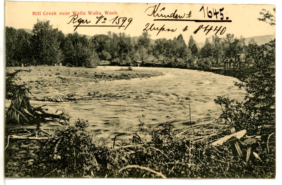08440-Walla Walla-1906-Mill Creek near Walla Walla, Wash.-Brück & Sohn Kunstverlag