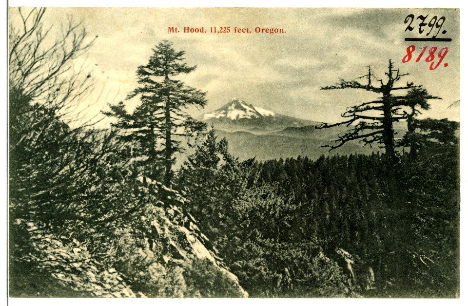 08189-Oregon-1906-Mt. Hood-Brück & Sohn Kunstverlag