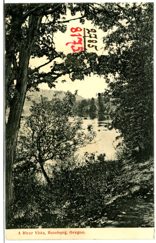 08175-Roseburg, Ore.-1906-A River Vista-Brück & Sohn Kunstverlag
