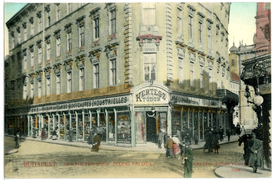 08586-Budapest-1907-Kristofter Grof Teleki Palota-Brück & Sohn Kunstverlag