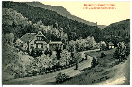 07926-Krondorf-1906-Sauerbrunn - Villa Waldkoboldsheim-Brück & Sohn Kunstverlag
