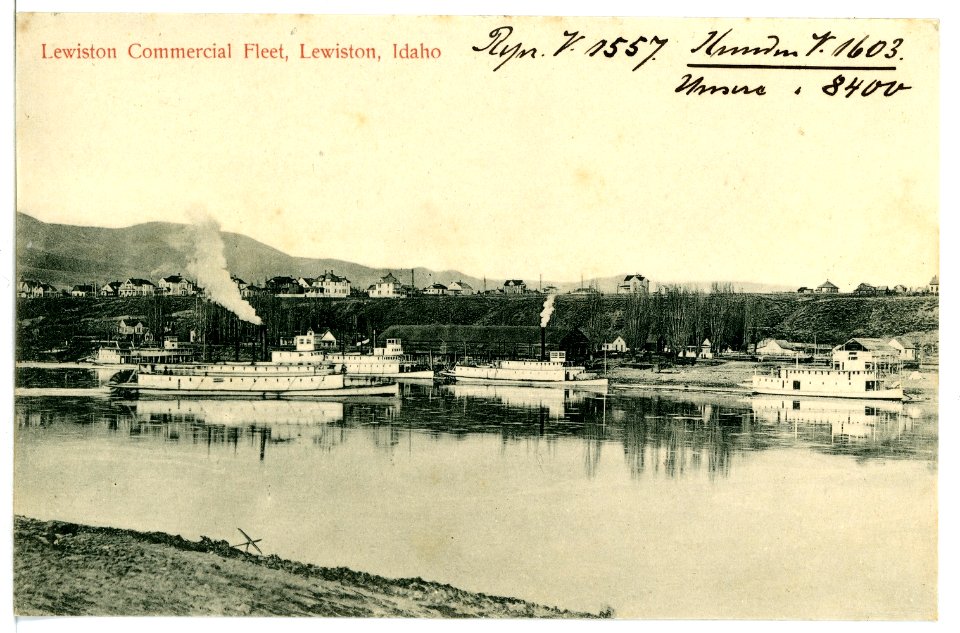 08400-Lewiston, Idaho-1906-Lewiston Commercial Fleet-Brück & Sohn Kunstverlag