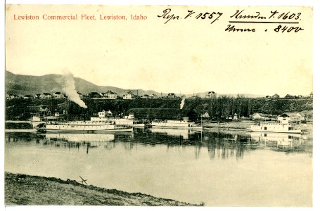 08400-Lewiston, Idaho-1906-Lewiston Commercial Fleet-Brück & Sohn Kunstverlag photo