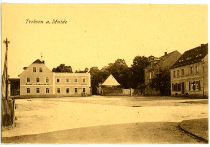 08073-Trebsen-1906-Ortsansicht-Brück & Sohn Kunstverlag