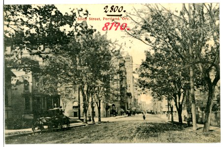 08190-Portland, Ore.-1906-Sixth Street-Brück & Sohn Kunstverlag