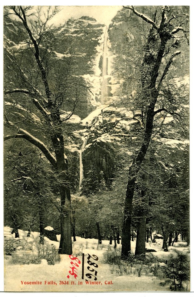 08245-Yosemite-1906-Yosemite Falls in Winter-Brück & Sohn Kunstverlag