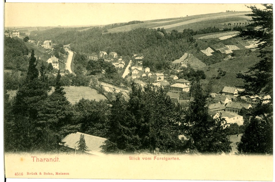 04516-Tharandt-1903-Blick vom Forstgarten auf Tharandt-Brück & Sohn Kunstverlag