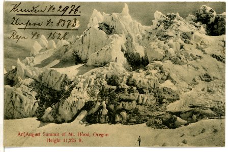 08373-Oregon-1906-An August Summit of Mt. Hood, Oregon-Brück & Sohn Kunstverlag