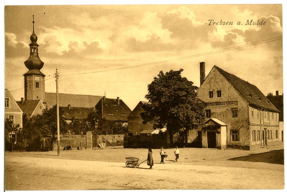 08065-Trebsen-1906-Ortsansicht-Brück & Sohn Kunstverlag