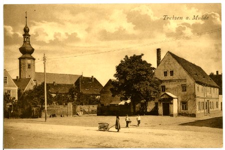 08065-Trebsen-1906-Ortsansicht-Brück & Sohn Kunstverlag