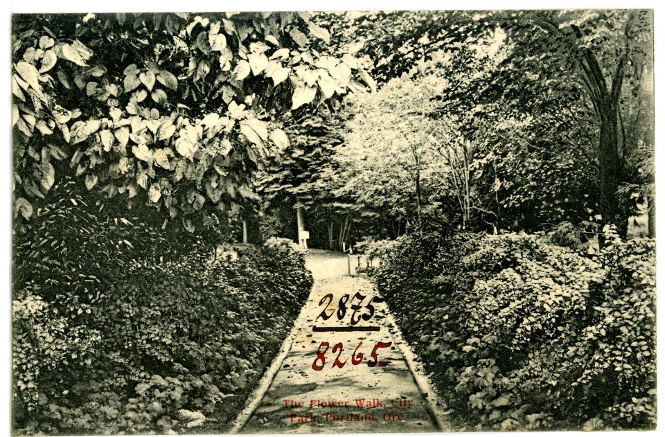 08265-Portland, Ore.-1906-The Flower Walk, City Park-Brück & Sohn Kunstverlag