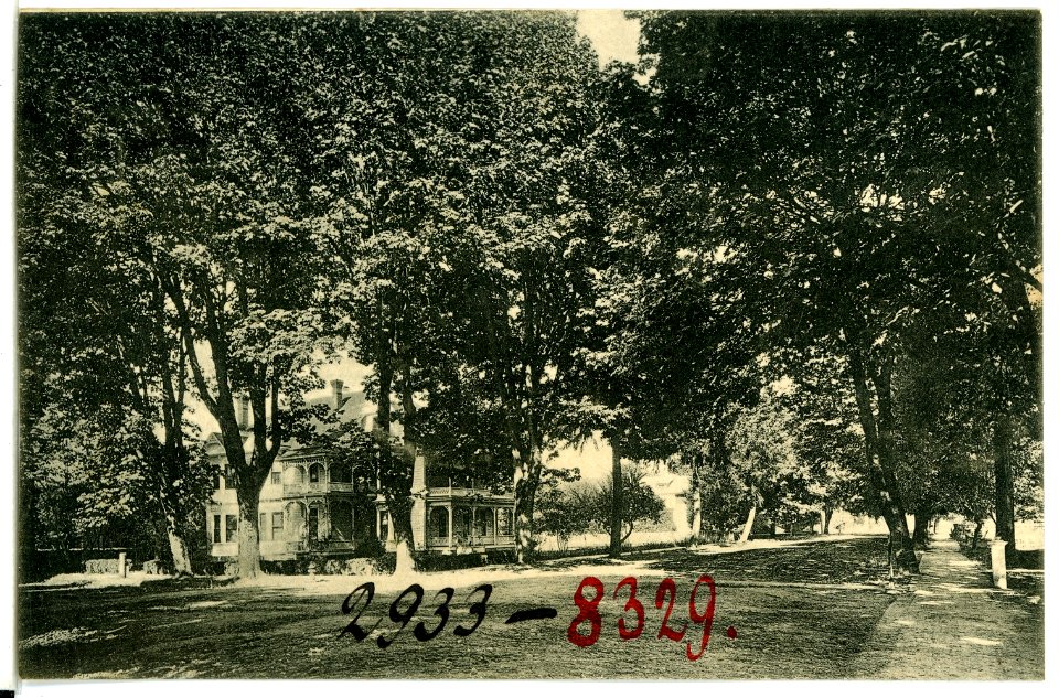 08329-Eugene, Ore.-1906-High Street-Brück & Sohn Kunstverlag