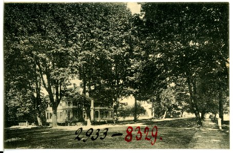 08329-Eugene, Ore.-1906-High Street-Brück & Sohn Kunstverlag