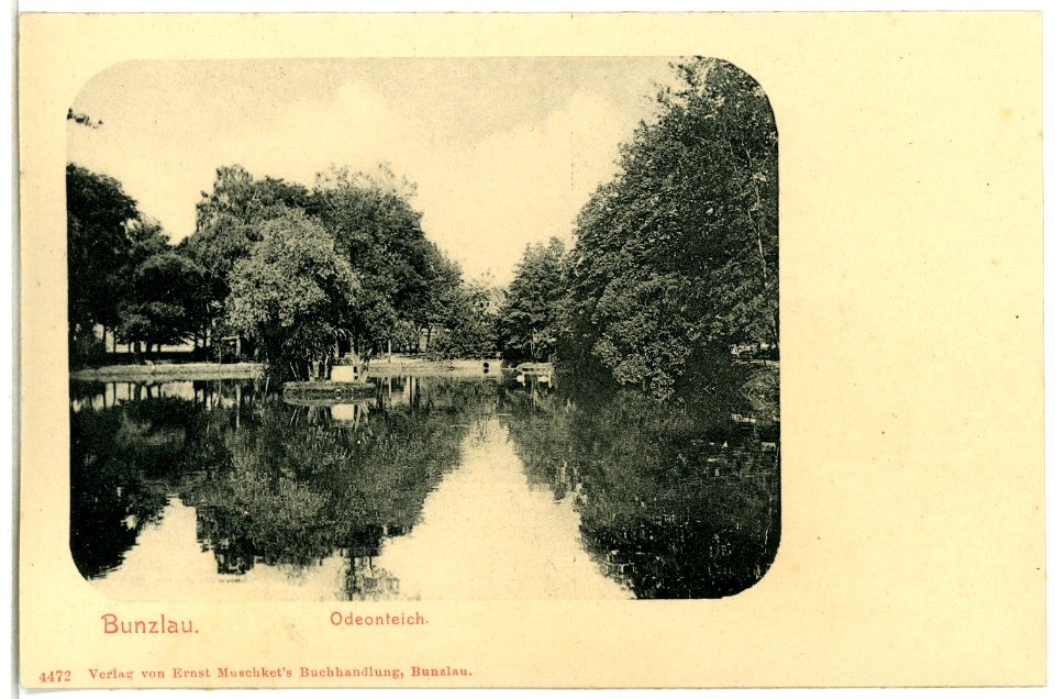 04472-Bunzlau-1903-Odeonteich-Brück & Sohn Kunstverlag
