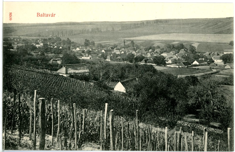 08509-Baltavar-1907-Ortsansicht-Brück & Sohn Kunstverlag
