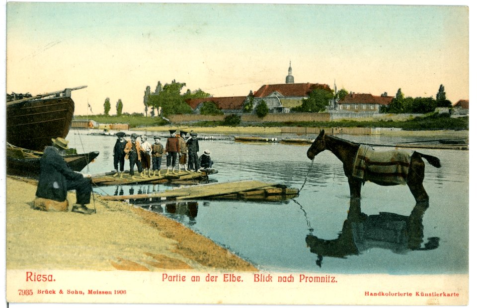07935-Riesa-1906-Elbblick nach Promnitz - Pferdewäsche-Brück & Sohn Kunstverlag